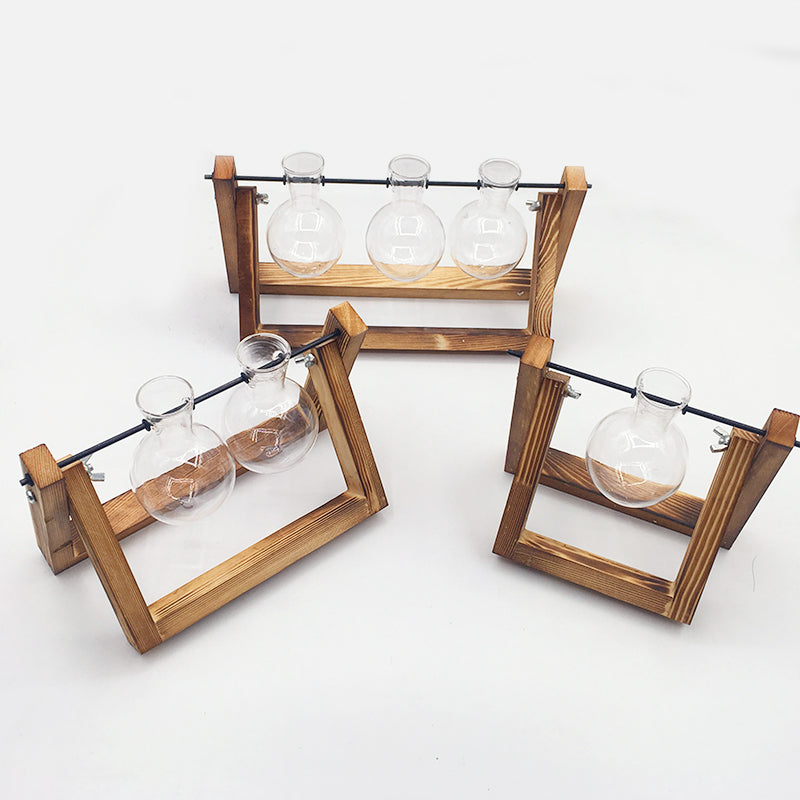 Hydroponic Glass Vase with Wooden Stand for All Sizes