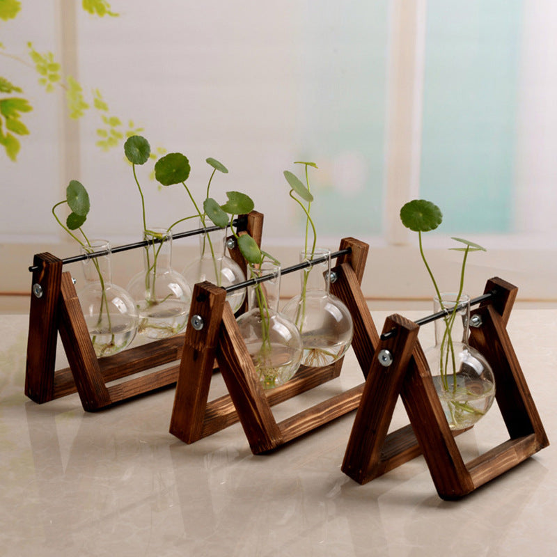 Hydroponic Glass Vase with Wooden Stand for All Sizes